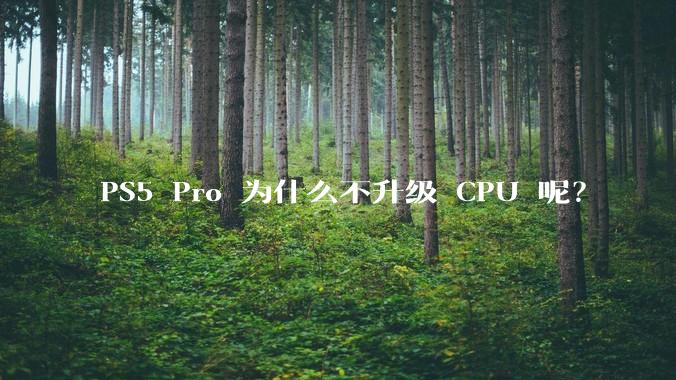 PS5 Pro 为什么不升级 CPU 呢？