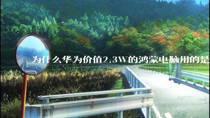 为什么华为价值2.3W的鸿蒙电脑用的是美国西数的SN740固态硬盘？