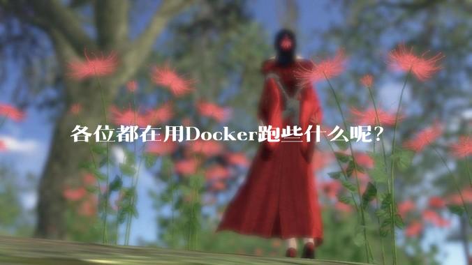 各位都在用Docker跑些什么呢？