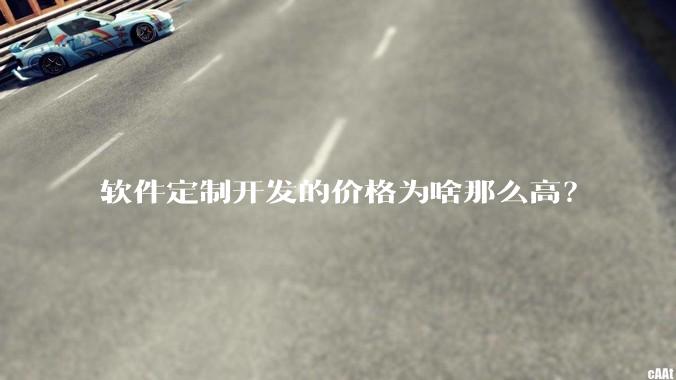 软件定制开发的价格为啥那么高？