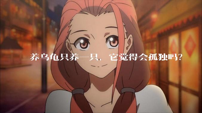 养乌龟只养一只，它觉得会孤独吗？