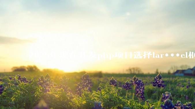 2025年现在开发php项目选择lar***el框架好还是thinkphp框架好？