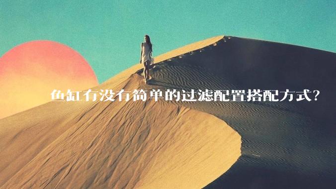 鱼缸有没有简单的过滤配置搭配方式？