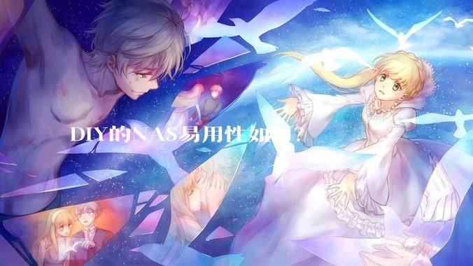 DIY的NAS易用性如何？