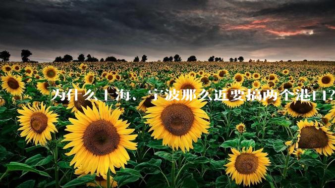 为什么上海、宁波那么近要搞两个港口？不会恶性竞争么？
