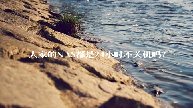 大家的NAS都是24小时不关机吗？