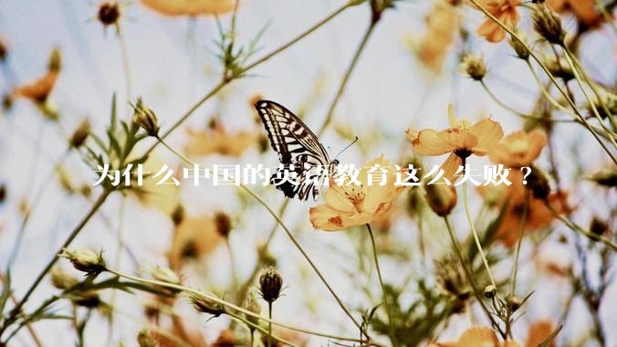 为什么中国的英语教育这么失败?